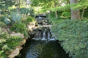 Water flowing over rocks into a peaceful stream.